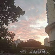 精靈，我能夠聆聽萬物的聲音