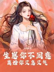 侯府雙嫁