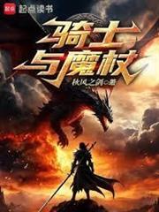 騎士與魔杖