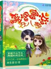 暖婚蜜戀在八零