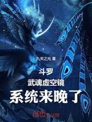 斗羅：武魂虛空鏡，系統來晚了