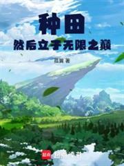 種田然後立於無限之巔