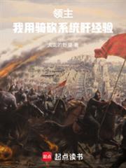 領主：我用騎砍系統肝經驗