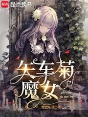 矢車菊魔女