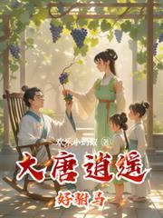 大唐逍遙好駙馬