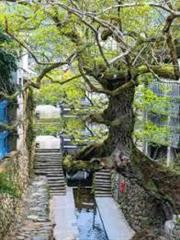 山海安歌