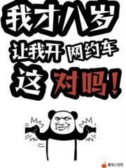 我才八歲，讓我開網約車這對嗎！