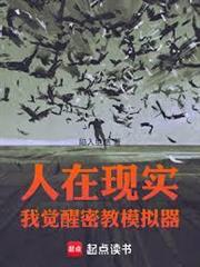 人在現實，我覺醒密教模擬器