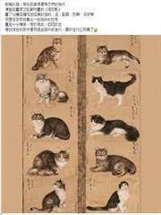 大清孤臣