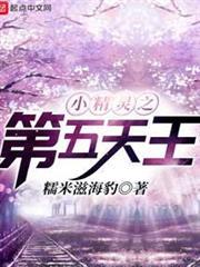 小精靈之第五天王
