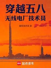 穿越五八，無線電廠技術員