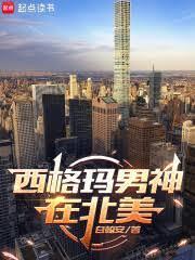 美利堅：孤狼系男神