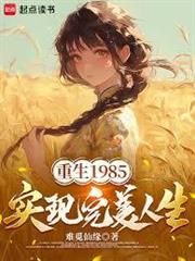 重生1985，實現完美人生