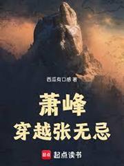 蕭峰穿越張無忌
