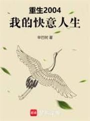 重生2004，我的快意人生
