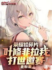 榮耀撿碎片，葉修非拉我打世邀賽