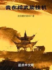 我在綜武能掛機