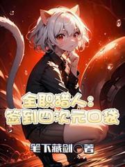 全職獵人：簽到四次元口袋