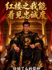 紅樓之我能看見忠誠度