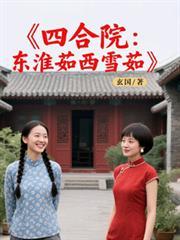 四合院：東淮茹西雪茹