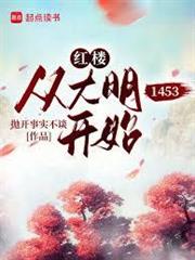 紅樓：從大明1453開始