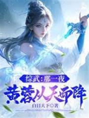 綜武：那一夜，黃蓉從天而降