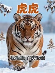 虎虎我拒絕了鐵飯碗