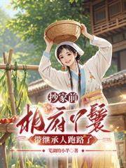 抄家前，相府丫鬟帶繼承人跑路了